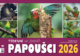 Papoušci týdenní kalendář 2026