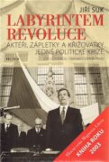 Labyrintem revoluce - Aktéři, zápletky a křižovatky jedné politické krize (od listopadu 1989 do červ