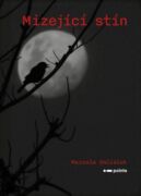 Mizející stín (e-kniha)