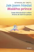 Jak jsem hledal Malého prince (e-kniha)