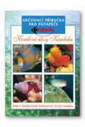 Korálové útesy v karibiku - Určovací příručka pro potapěče - Ryby a živočichové korálových útesů Kar