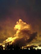 Osudná cesta (e-kniha)