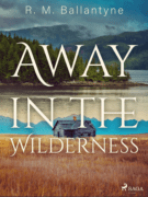 Away in the Wilderness (e-kniha)