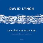 Chytání velkých ryb - Meditace, vědomí a kreativita