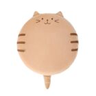 Podsedák - Hnědá kočka