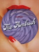 The Ambush - Erotic Short Story (e-kniha)