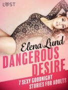 Dangerous Desire - 7 sexy goodnight stories for adults (e-kniha)