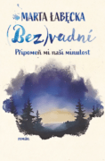(Bez)vadní 2 – Připomeň mi naši minulost (e-kniha)