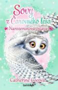Sovy z Čarovného lesa - Narozeninová oslava (e-kniha)