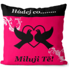 Polštář Hádej co