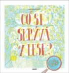 Co se skrývá v lese?