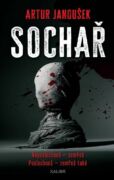 Sochař (e-kniha)