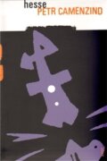 Petr Camenzind (e-kniha)