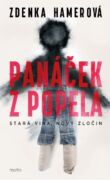 Panáček z popela (e-kniha)