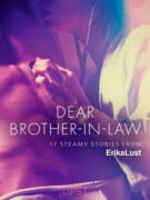 Dear Brother-in-law - 11 steamy stories from Erika Lust (e-kniha)
