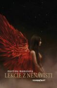 Lekcie z nenávisti (e-kniha)
