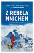 Z rebela mnichem (e-kniha)