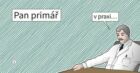 Pan primář v praxi (e-kniha)