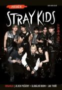 Příběh Stray Kids (e-kniha)