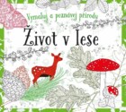 Život v lese - omalovánky - Vymaluj a poznávej přírodu