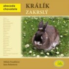 Králík zakrslý - Abeceda chovatele