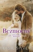 Bezmocný (e-kniha)