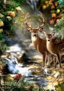 Diamantové malování Jelen a srnka u lesního potoka 30x40cm