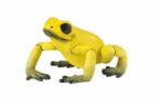 Žába žlutá