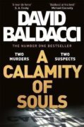 A Calamity of Souls: The gripping historical courtroom drama from the multimillion copy number one b