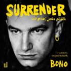 Surrender - 40 písní, jeden příběh (CD)