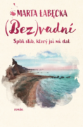 (Bez)vadní 3 – Splň slib, který jsi mi dal (e-kniha)