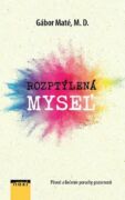 Rozptýlená myseľ (e-kniha)
