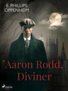 Aaron Rodd, Diviner (e-kniha)