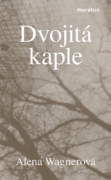 Dvojitá kaple (e-kniha)