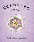 Vesmírne pravidlá (e-kniha)