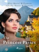 The Princess Passes (e-kniha)