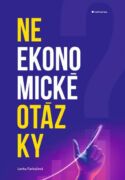 Neekonomické otázky (e-kniha)