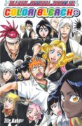 Bleach: Color Bleach