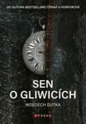Sen o Gliwicích (e-kniha)