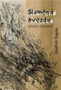 Slaměná hvězda - (hlušina notebook)