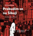 Probudím se na Šibuji (CD)