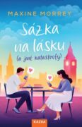 Sázka na lásku (a jiné katastrofy) (e-kniha)