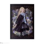 Harry Potter zápisník A5 - Lenka Láskorádová