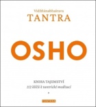 Vidžňánabhairava Tantra