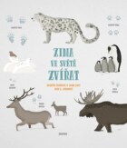Zima ve světě zvířat