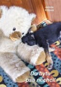 Do bytu psa nechci! - A zlomit se nedám…