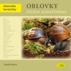 Oblovky plži čeledi achatinidae - Abeceda teraristy