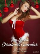 An Erotic Christmas Calendar: A Collection of Short Stories (e-kniha)