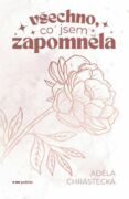 Všechno, co jsem zapomněla (e-kniha)