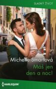 Máš jen den a noc! (e-kniha)